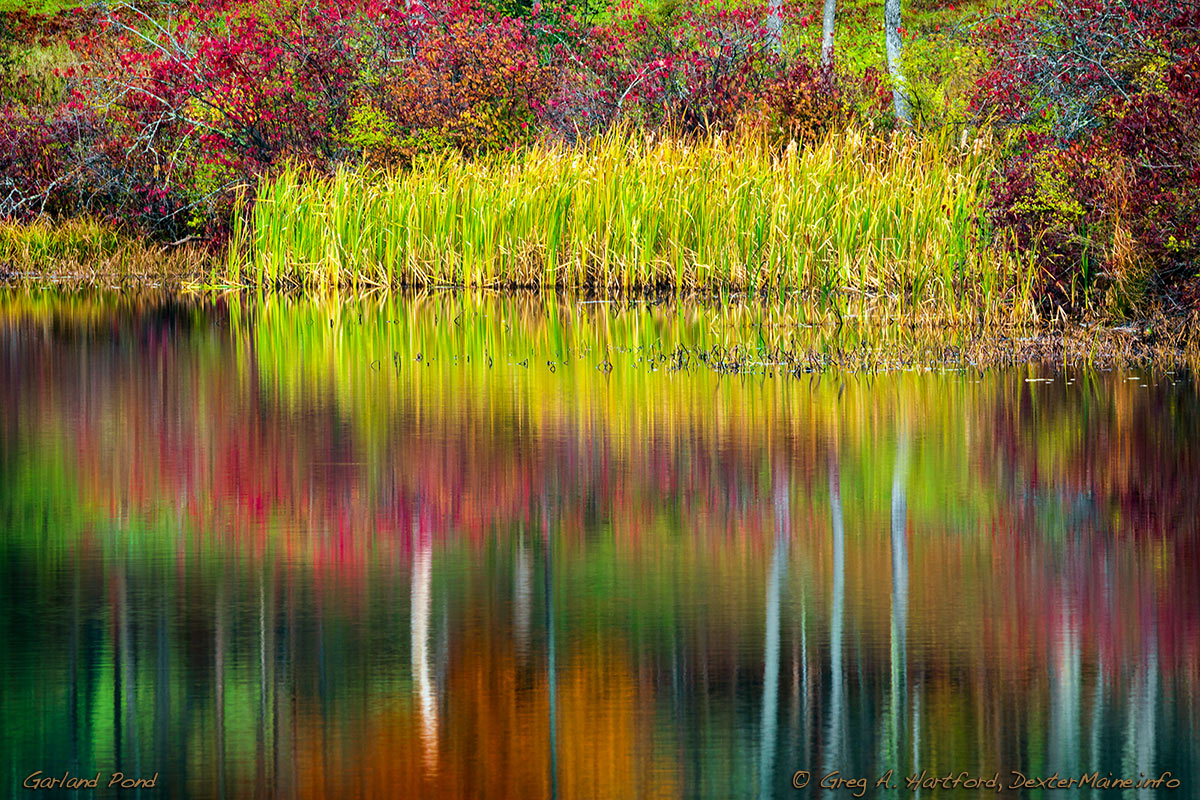 Late October Morning on Garland Pond in Central Maine