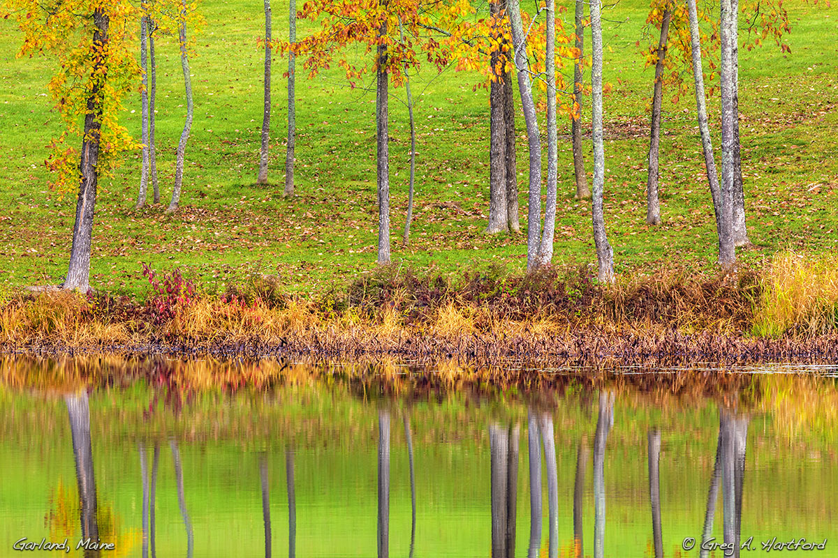 Garland, Maine Pond with Reflections – Image A5085