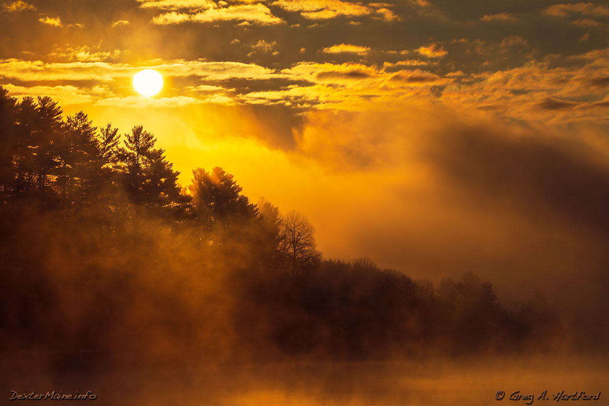 Silhouette of trees with fog at sunrise over Lake Wassookeag in Dexter