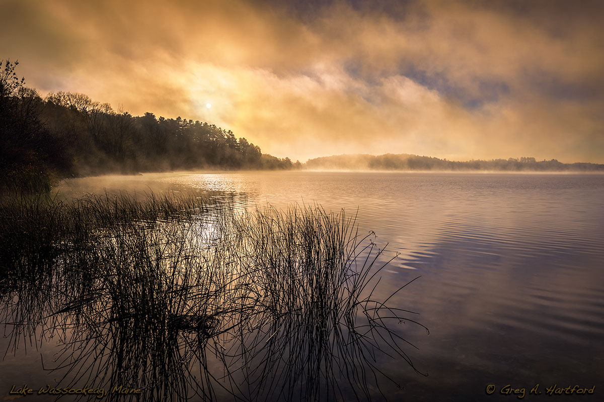 Lake Wassookeag Autumn Sunrise with October Fog