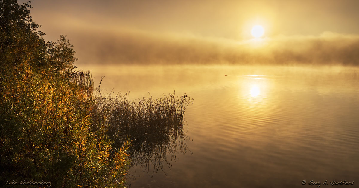 Early Morning on Lake Wassookeag in Dexter, Maine