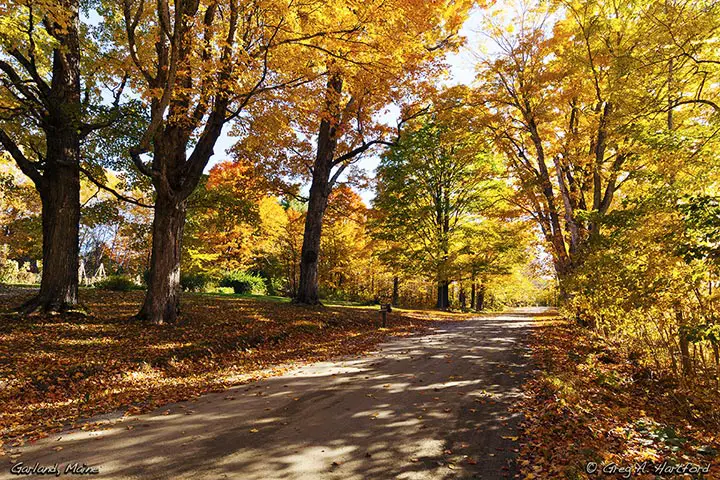 The Upper Garland / Dexter Road during Autumn