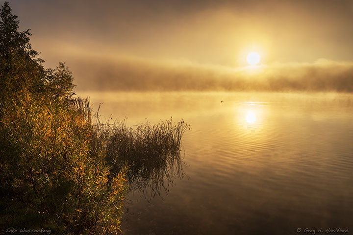 Misty morning on Lake Wassookeag at sunrise