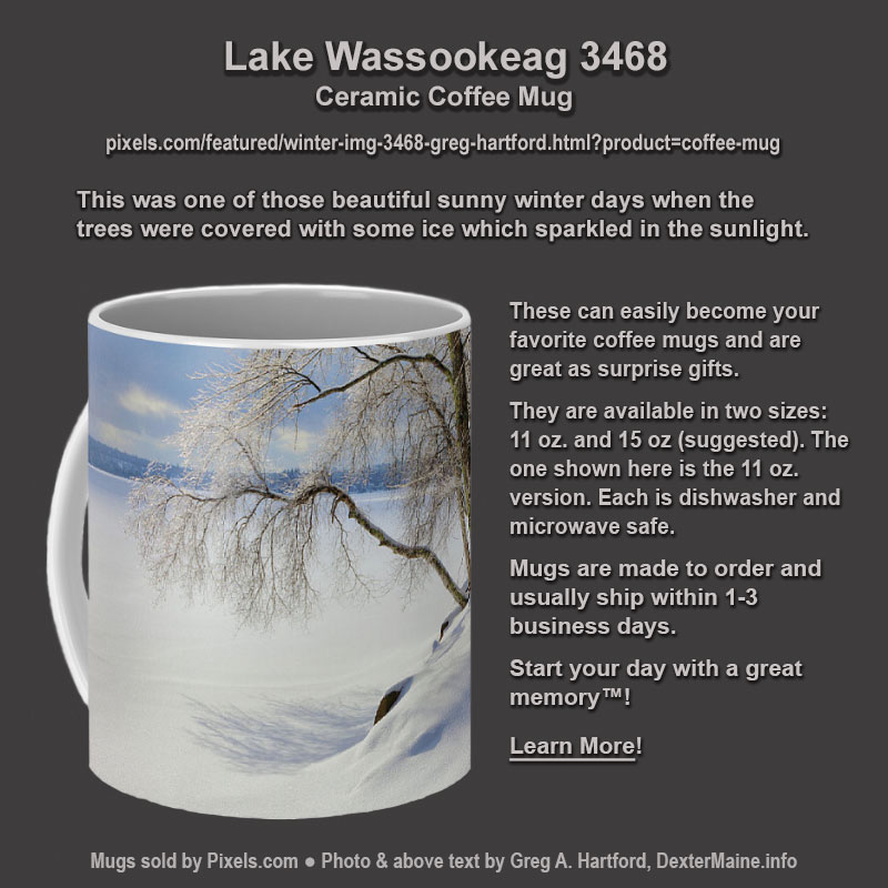 Coffee Mug showing Big Lake Wassookeag during winter